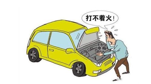 延长汽车使用寿命的妙招，定期维护、合理使用与选择合适的车型