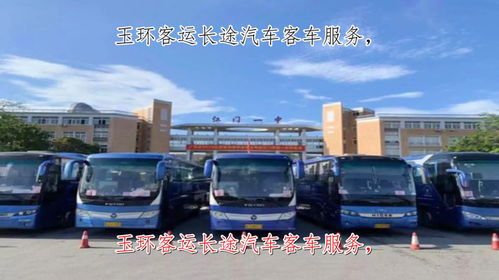 曲靖到文山的汽车运输时间分析与建议