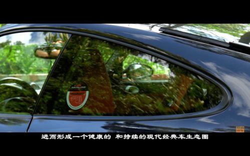里程与问题的悖论，如何在汽车驾驶中找到平衡点