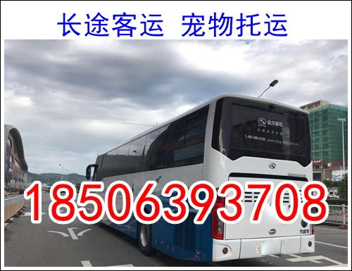 普通班车票价