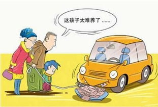大型车辆的托运费用详解，价格、选择与注意事项