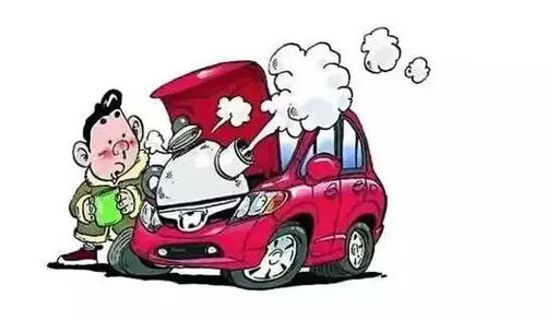 长沙到常宁的汽车票价，探寻最经济实惠的出行选择