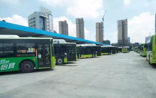 邯郸共享汽车，开启绿色出行新篇章