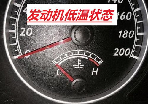 汽车一天能行驶多少公里？