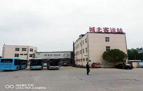 泗洪城西汽车站电话是多少？
