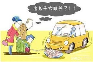 详解10万元上牌费用，了解中国汽车购置税政策