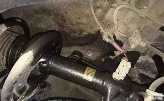 吉林地区汽车减震器的价格区间分析