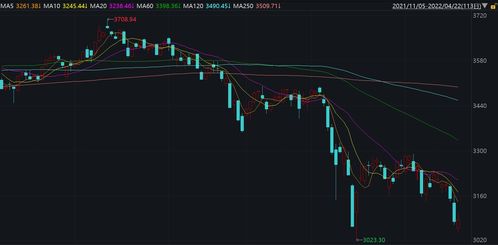 A股市场急跌后的快速回稳前景展望