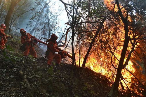 关于四川凉山一地发生森林火灾的真相与事实