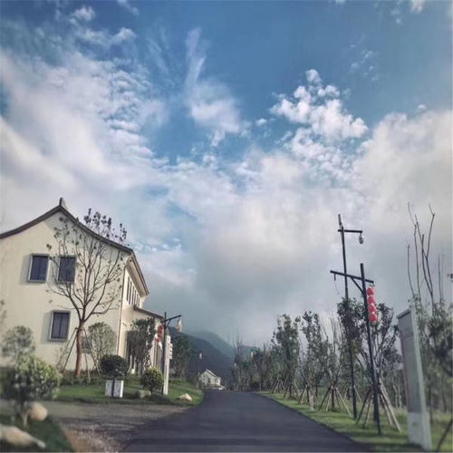 熊猫汽车排气管价格解析与选购指南