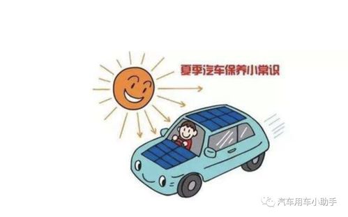 汽车保养的常见重量，一个全面指南