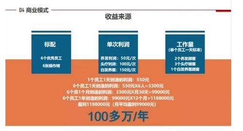 百顺汽车加盟费用详解,投资与回报分析 百顺汽车加盟费用详解,投资与回报分析
