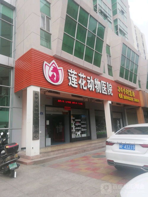 龙岩莲花汽车站的电话号码