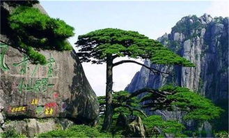 缙云至黄山的汽车行程详解 缙云至黄山的汽车行程详解