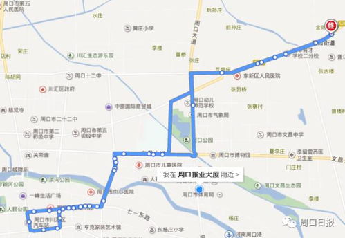 周口到韩寨的交通费用详解
