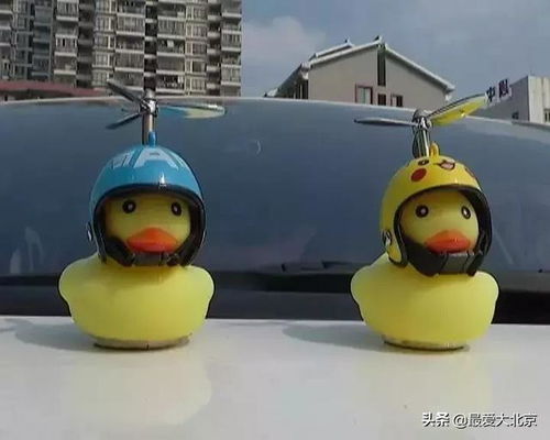 光头强的汽车有多高—从动画片中的经典角色到现实生活中的现实问题