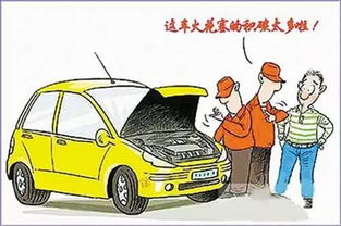 了解汽车过户的真相与风险