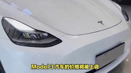 欧洲电动汽车的销售价格分析