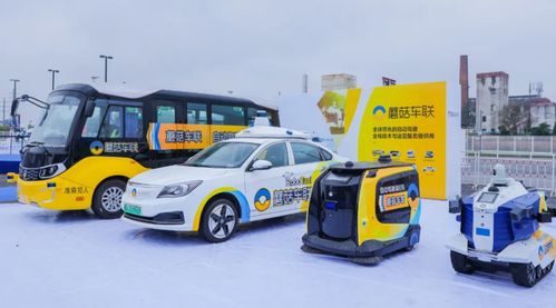蘑菇汽车，创新科技引领智能出行新时代