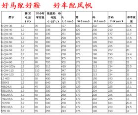 汽车电瓶的常见规格与标准