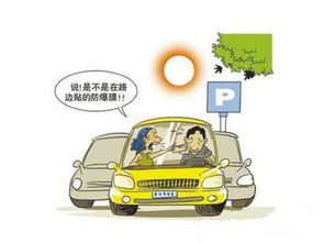 汽车假尾喉贴纸的购买指南