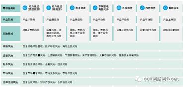 汽车创业的挑战与风险