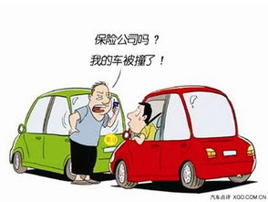 车辆类型与年龄
