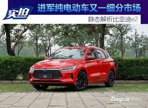 比亚迪纯电动汽车的价格分析与市场趋势