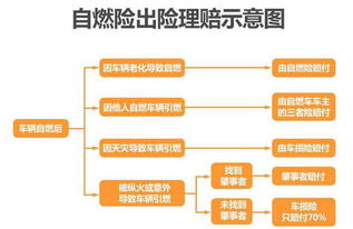 汽车自燃事故保险陪多少?全面解析汽车自燃事故赔偿标准与理赔流程 汽车自燃事故保险陪多少?全面解析汽车自燃事故赔偿标准与理赔流程
