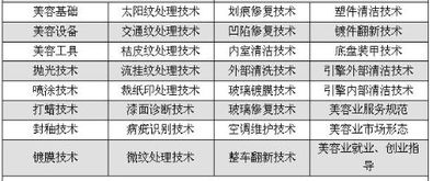 汽车美容技术的学费详解,了解费用、学习路径与未来发展 汽车美容技术的学费详解,了解费用、学习路径与未来发展