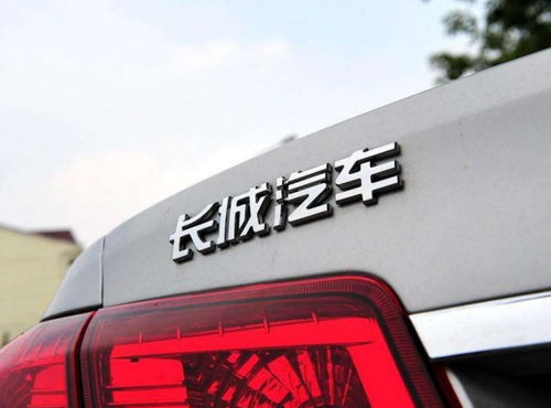 长城汽车的后尾灯价格详解