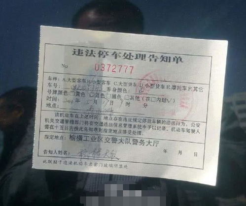 汽车违停罚款金额详解
