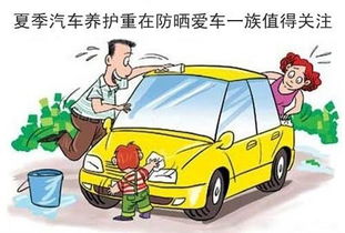 汽车年检频率的合理选择，如何在保护车辆的同时避免过度负担？