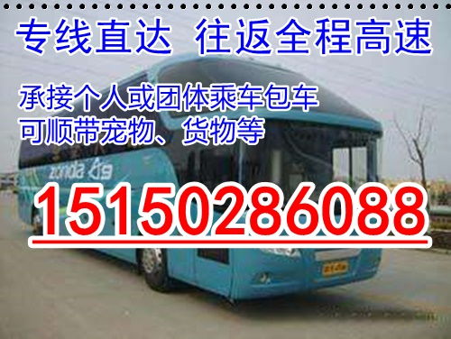 合肥到莱州的汽车票价