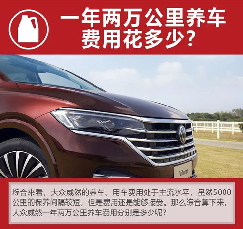 黑色汽车的价格变动与购车成本分析