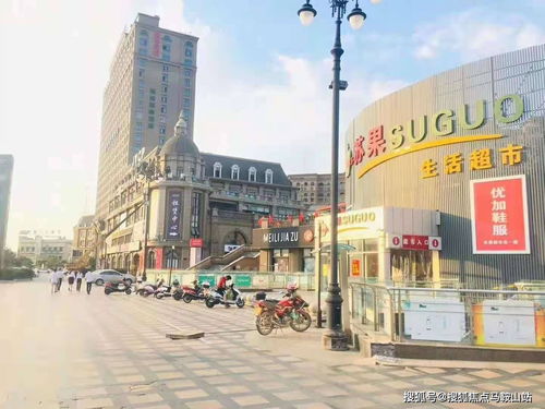 汽车白条批发价格分析
