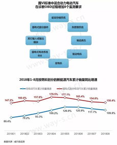 零关税汽车的行驶限制与法规解读