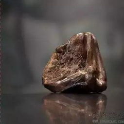 董宇辉的沉香木奇遇，发现宝藏般的珍贵木材