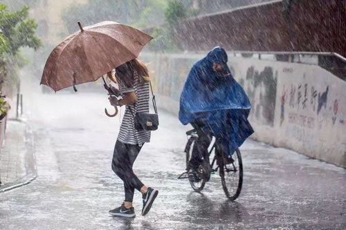 大风中丧命的悲剧，骑车女子在风雨交加中不幸遇难