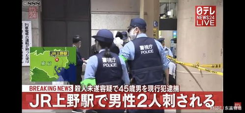 日本多地发生无差别杀人事件的调查与分析