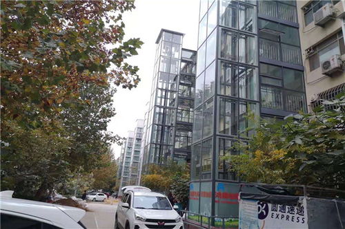 小区出现石头阵，社区的应对与解决方案