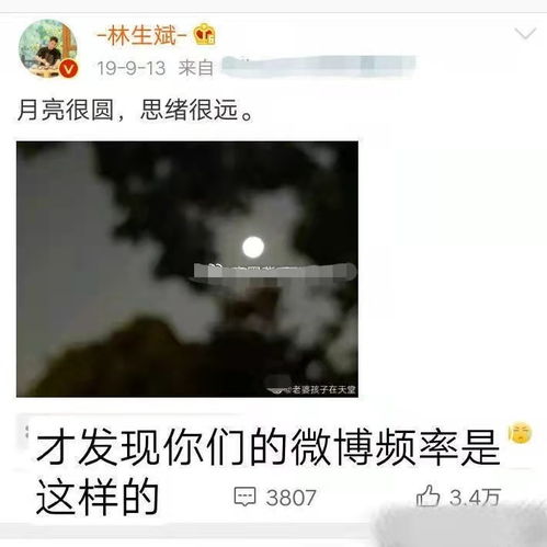 爱的绝唱，男子因悼念亡妻殉情身亡