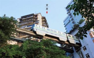 重庆李子坝成功圈粉外国游客—一座城市的独特魅力