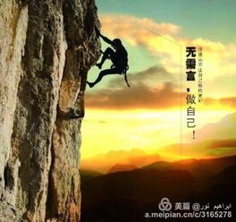无畏挑战的攀登者—泰安泰山上的智者