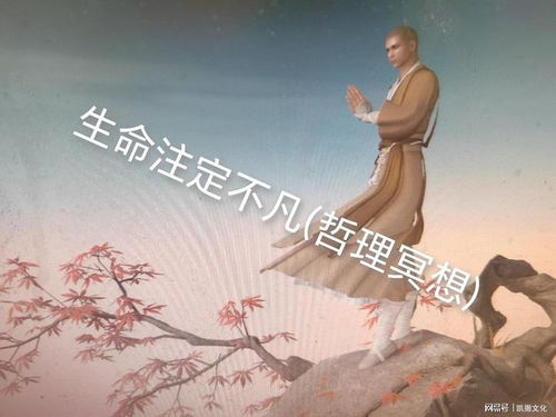 平凡亦精彩—生命因简单而美好