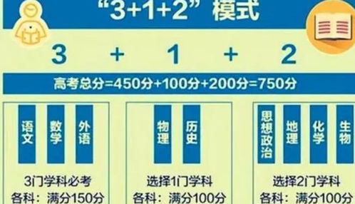 不同选择的平衡与公平性考量，协和大学4+4项目与未参与统一高考的学生