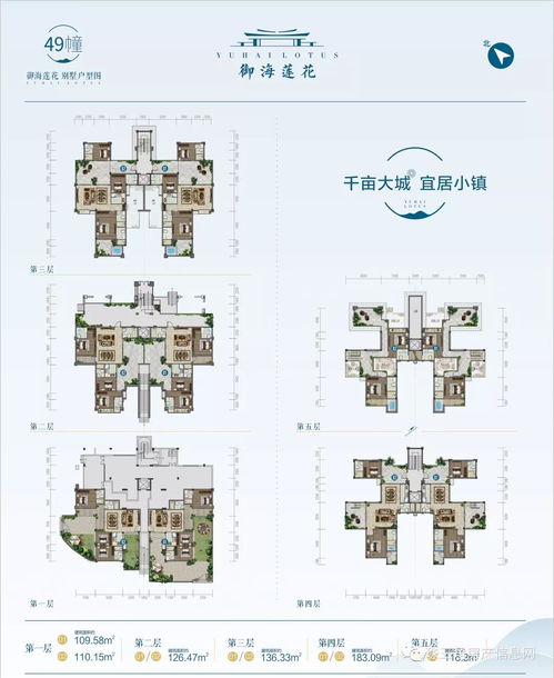 揭秘真相，南阳的惊人投资神话