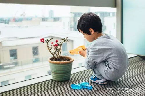 妈妈的手机密码与孩子的安全