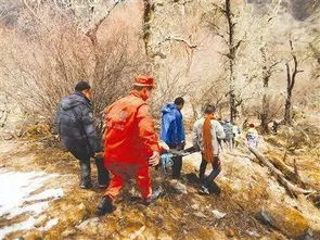 一男子在四姑娘山因高反去世引发关注与反思