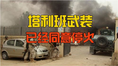 印度为什么能如此爽快地同意停火？